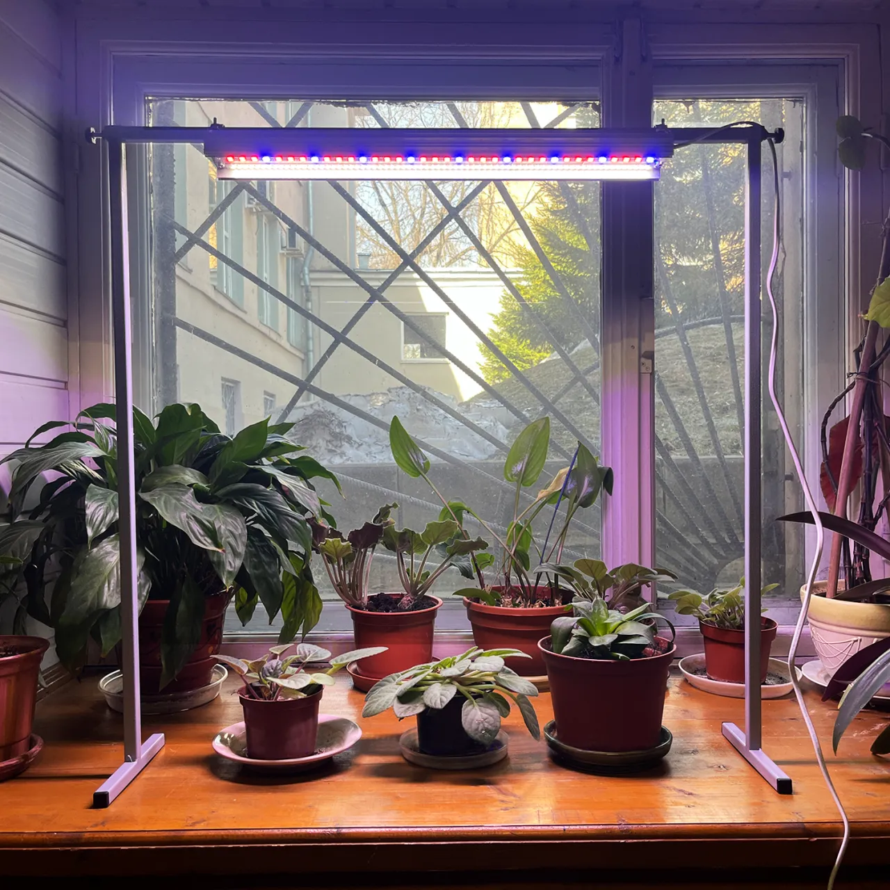 Подсветка для растений
